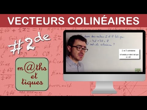 Démontrer que deux vecteurs sont colinéaires - Seconde