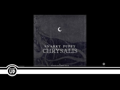 Snarky Puppy - Chrysalis (Official Audio)