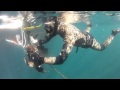 Two Divers One Mask 