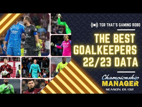 The Best Goalkeepers In The Game | CHAMPIONSHIP MANAGER 01/02 CHEATS