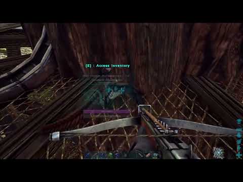 How To Tame An Archaeopteryx In Ark