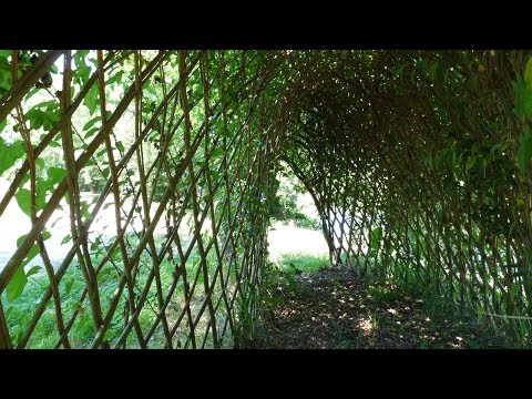 Wicker and basketwork