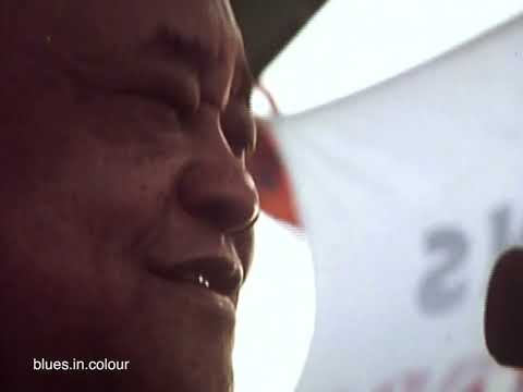 Roosevelt Sykes - 'St James Infirmary' live 1976