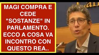 MAGI COMPRA E CEDE "SOSTANZE" IN PARLAMENTO. ECCO A COSA VA INCONTRO CON QUESTO REA..
