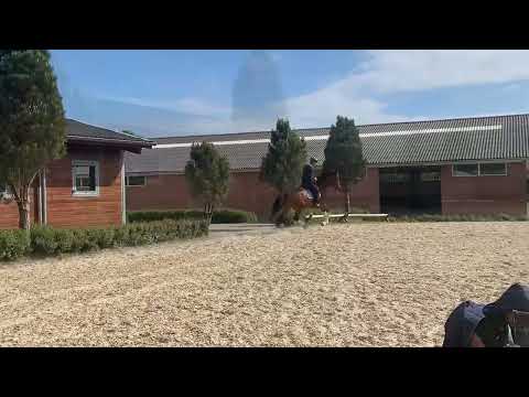 Filur 4 years Old by Franklin