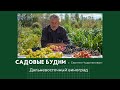 Garden Weekdays With Sergei Chudopalov DV Grapes
