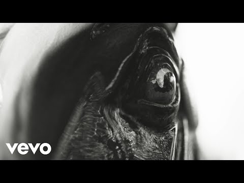 deepfield - Carousel (Official Music Video)