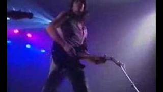 BARRICADA - animal caliente