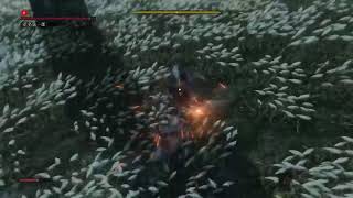 SEKIRO　ノーデス目指しまーす
