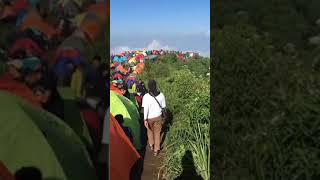 Download lagu CAMPING RAMEAN DI GUNUNG | HALU STORY #shorts #storyhalu #storyig #storywa mp3 Download lagu CAMPING RAMEAN DI GUNUNG | HALU STORY #shorts #storyhalu #storyig #storywa mp3