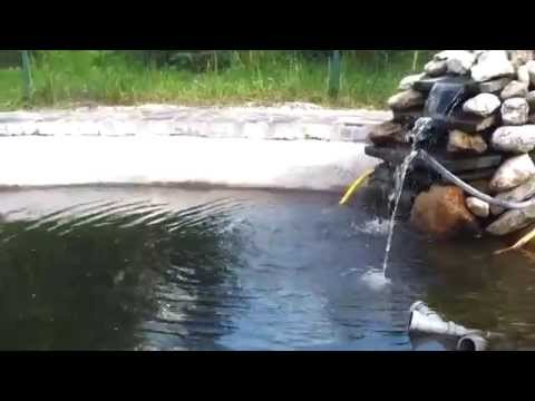 Pesti la Pensiunea Paula (Maramures)