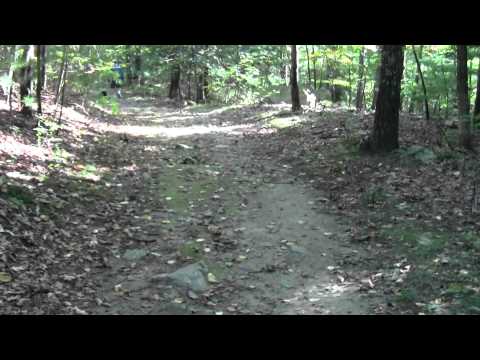 Bay Circuit Trail Ashland MA: Ashland Town Forest Part 4.