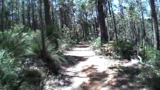 preview picture of video 'Munda Biddi Trail, south of Dwellingup'