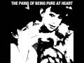 The Pains of Being Pure at Heart - Come Saturday ...