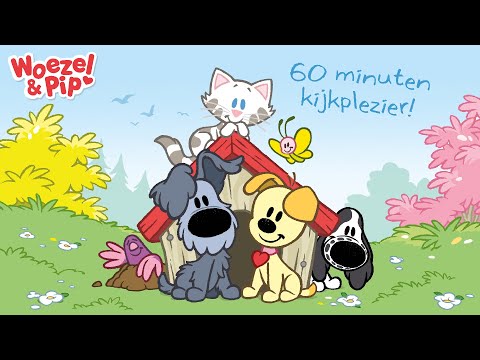 ⭐ Woezel & Pip afleveringen ⭐ - 60 minuten compilatie 🐾
