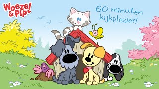 ⭐ Woezel &amp; Pip afleveringen ⭐ - 60 minuten compilatie 🐾