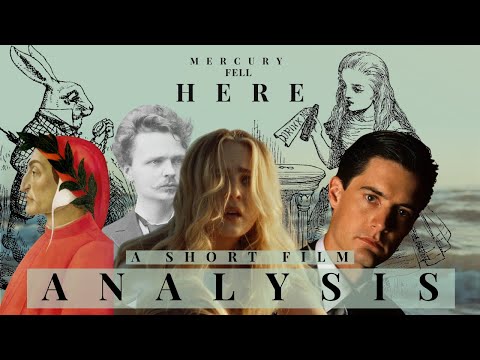 What If, Things Were Different? - A Video Essay