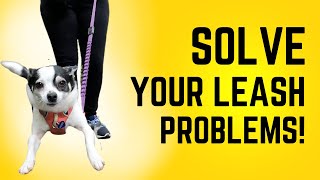 Solutions for Leash Training Frustration
