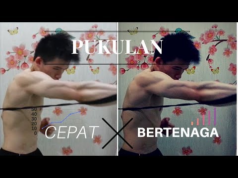Jerawat kecil di sekitar penis Pengobatan impotensi akar merah
