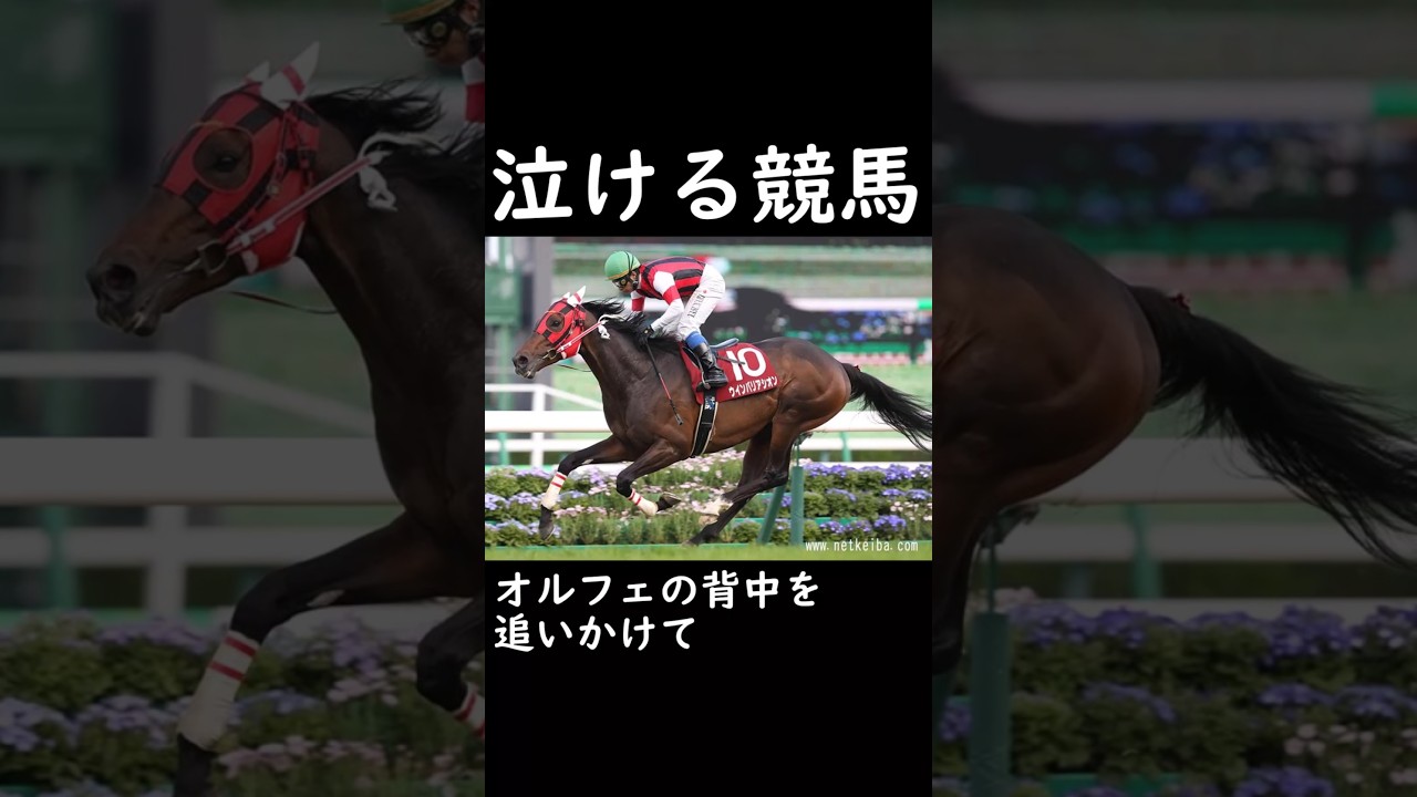 【泣ける競馬】オルフェの背中を追いかけて【ゆっくり解説】#shorts #競馬 #日経賞 #ウインバリアシオン