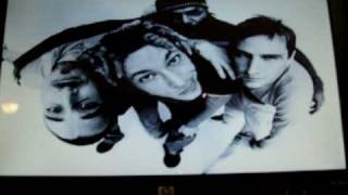 Jimmie's Chicken Shack-Milk