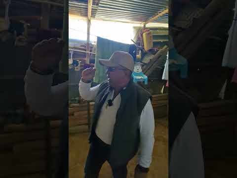 Mejoramiento de vivienda  de doña Rebeca en  Bordones (Isnos-Huila)