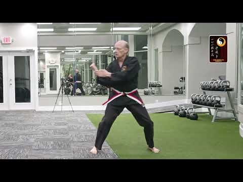 Naihanchi 2 – Sensei Rod Lindgren