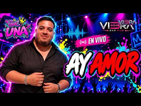 AY AMOR EN VIBRA BAR PUB GENERAL PINEDO CHACO 2026
