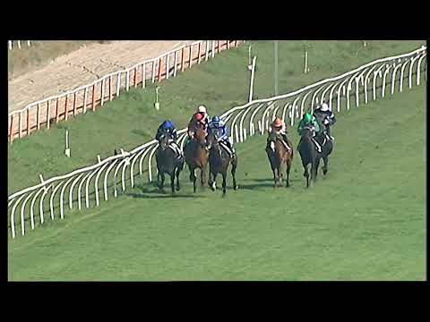 Napoli Galoppo 23/02/20021 - 2ª corsa