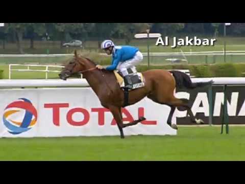 Shadwell Arabian Stallions 2017