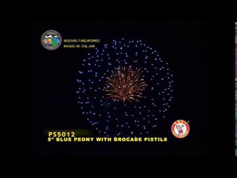 SB125PE09 - 5 INCH SHELL - WIZARD FIREWORKS - PS5012