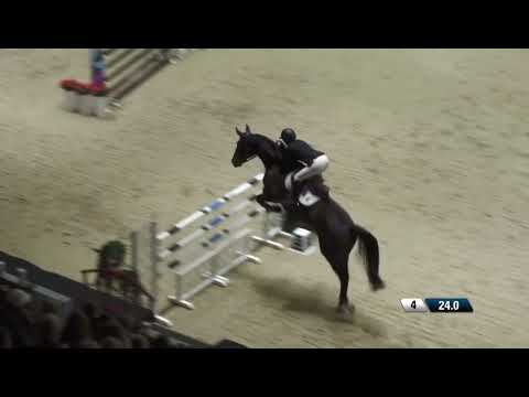 Angelica Augustsson Zanotelli - Nintender Star (22/10/2022) - Helsinki (CSI5* - 1.50m)