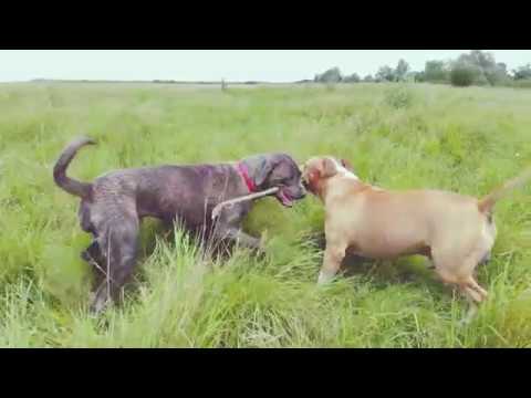 So satisfying to watch ...