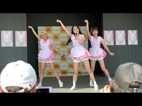 190527 Pink  fantasy 1部 12시야