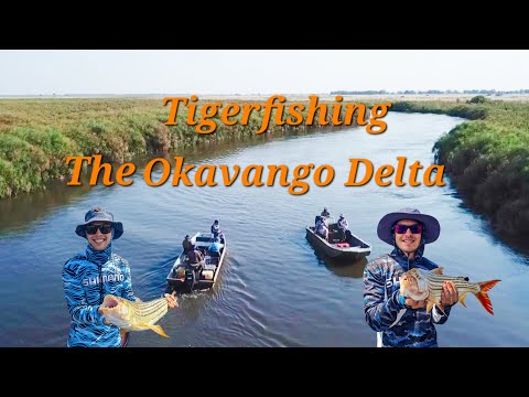 Botswana, Tiger Fishing The Okavango Delta