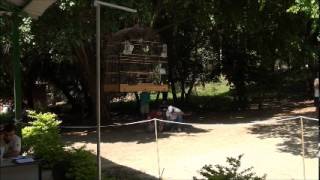5ª ETAPA DO CAMPEONATO ESTADUAL 2013 - RJ
