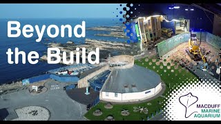So Long, and Thanks for (Housing) All the Fish! - Beyond the Build Vlogs