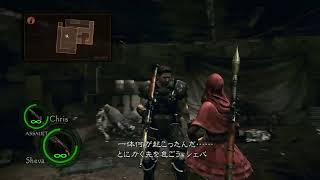 バイオハザー5