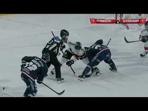 ⏯ | 𝗛𝗶𝗴𝗵𝗹𝗶𝗴𝗵𝘁𝘀 - 14.03.2025 Les Ducs d'Angers 🆚 Les Boxers de Bordeaux