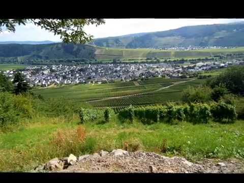 Moselsteig Etappe 8