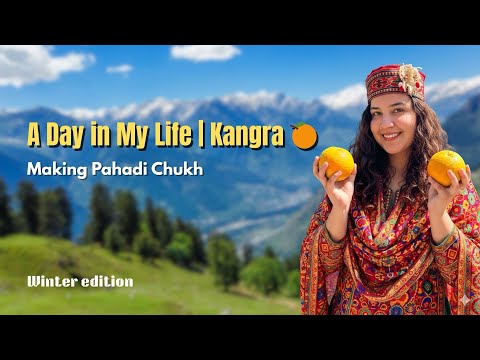 A Day in My Life in Kangra | Making Traditional Pahadi Chukh 🍊 | Village Vlog @thatgirlwidcurlyhair 