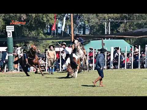 Criollas 1° de Mayo Batovi.
