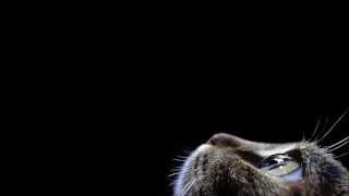 Steriogram - On and On Lyrics