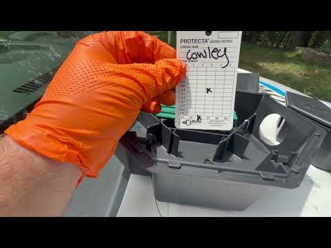 Time to Set Up Our Rodent Bait Stations in Keyport, NJ