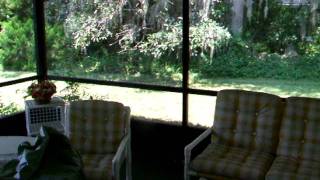 preview picture of video 'MLS 1010626 - 1923 Mango Tree Dr, Edgewater, FL'