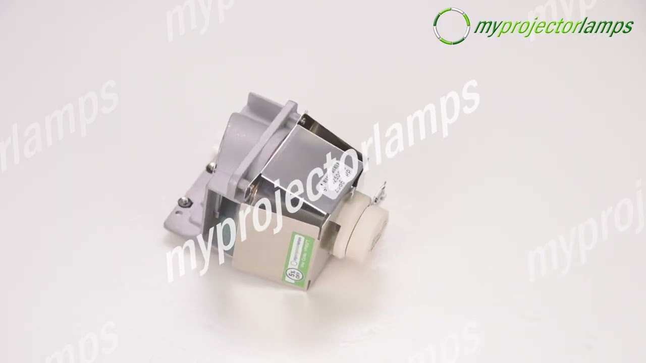 Viewsonic RLC-080 Projector Lamp with Module