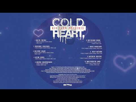 Cold Heart Riddim Mix Ft Busy Signal,Richie Spice,Chris Martin,D Major,Denyque,General Degree,Tony G