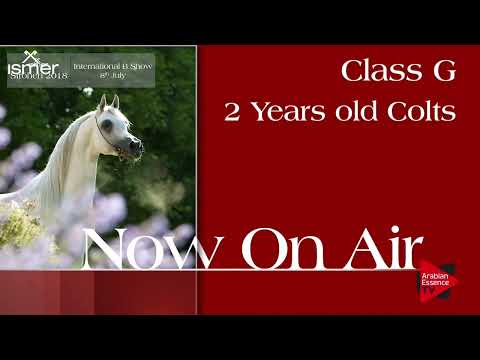 Strohen 2018 B International Class G