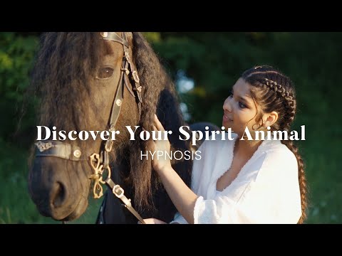 Discover Your Spirit Animal Hypnosis
