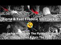 Jackie Wingslaps Her Neighbor FIONA ️ The Flying Squirrel Multiple Times Eats The Coot